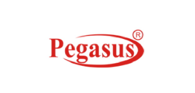 Pegasus Interntinal Computer