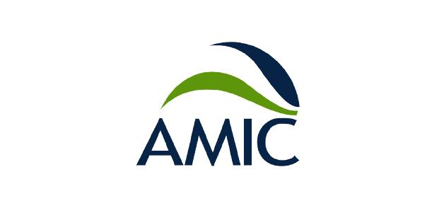 AMIC